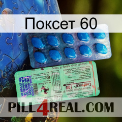 Поксет 60 new02